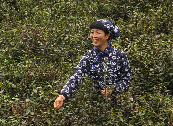百丽直播 热门9